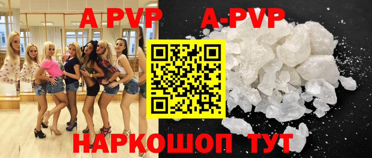 Альфа ПВП СК КРИС Дербент