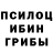 Псилоцибиновые грибы мицелий Lalit Sao