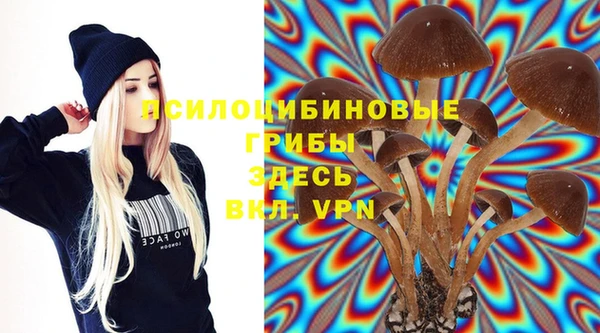 марки lsd Абаза