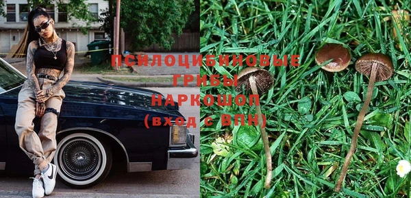 марки lsd Абаза