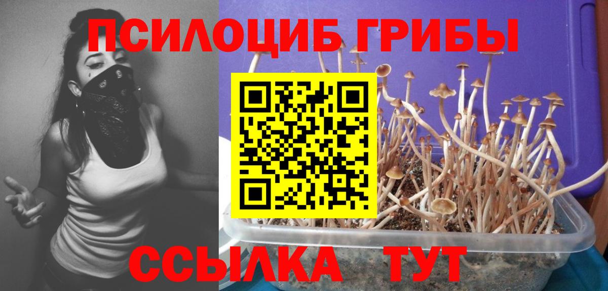 Дербент  сколько стоит  Галлюциногенные грибы мухоморы  Вход с VPN  Галлюциногенные грибы прущие грибы 